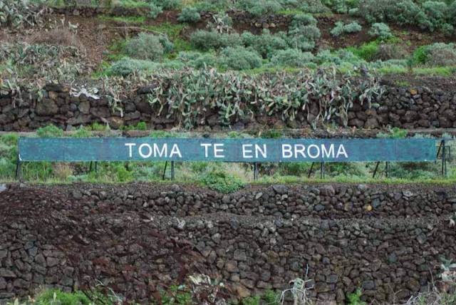 993704_756683677676125_1440296607_n