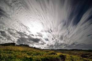 fb_img_1479701714192